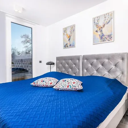 Luxury Ane Villa Malinska