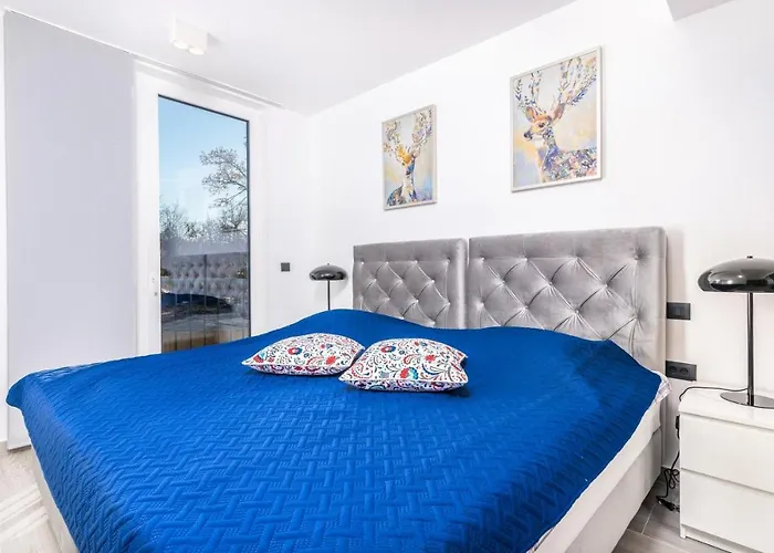 Luxury Ane Villa Malinska